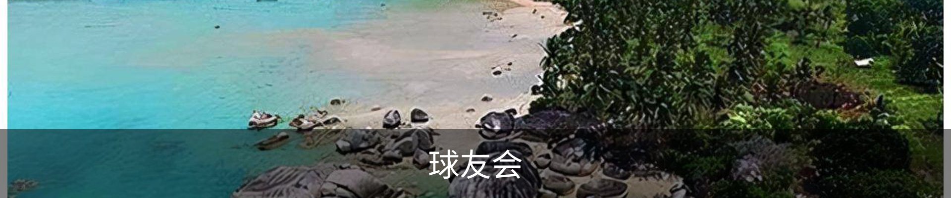 球友会